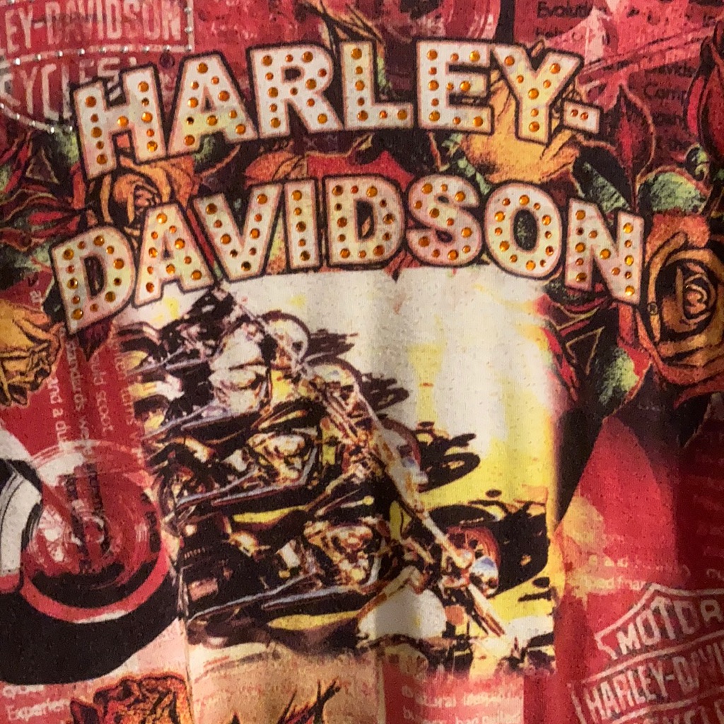 Previously Loved Harley Long Sleeve Previously Loved Harley Long Sleeve